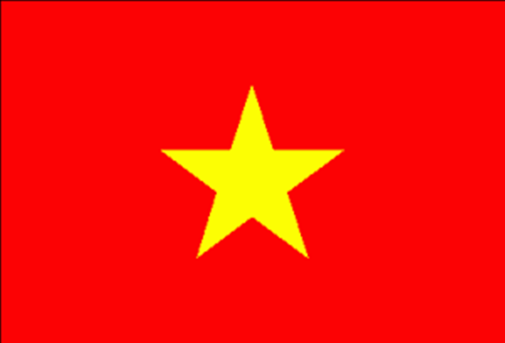 Vietnamese
